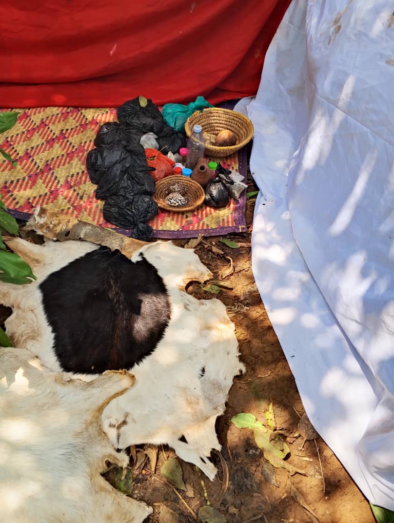 Herbal medicine consultation setting and natural remedies preparation