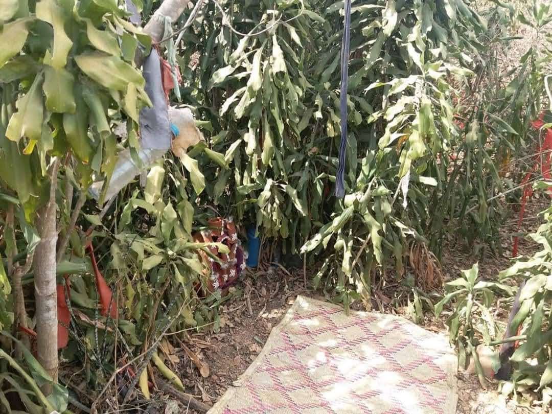 Traditional healing session materials and herbal treatment tools